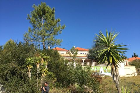 Villa i Belas, Lisbon, Belas - € 2 500 000 | Ref: 56/26 - foto 19