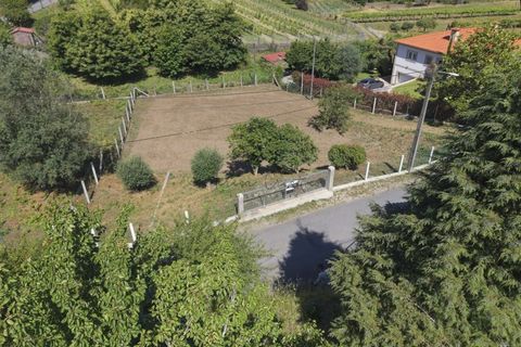 Helårsgrund i Ponte de Lima, Viana do Castelo, Ponte de Lima - € 65.000 | Ref: TC192 - foto 3