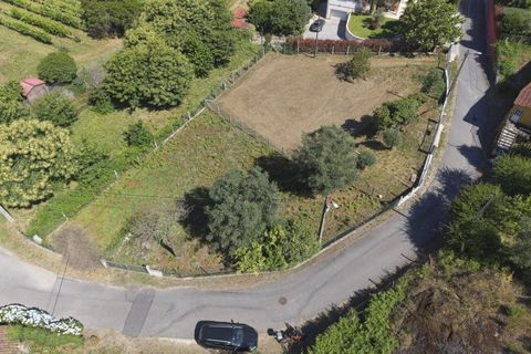 Helårsgrund i Ponte de Lima, Viana do Castelo, Ponte de Lima - € 65.000 | Ref: TC192 - foto 5