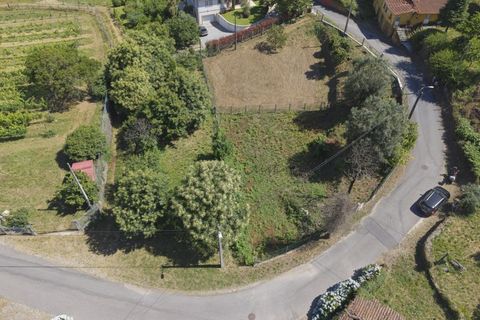 Helårsgrund i Ponte de Lima, Viana do Castelo, Ponte de Lima - € 65.000 | Ref: TC192 - foto 7