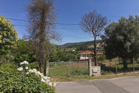 Helårsgrund i Ponte de Lima, Viana do Castelo, Ponte de Lima - € 65.000 | Ref: TC192 - foto 14