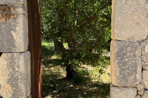 Villa i Modica, Ragusa, Modica - € 370.000 | Ref: L 2191 - foto 34