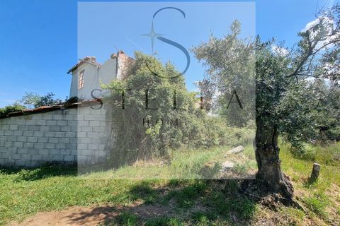 Villa i Sameice e Santa Eulalia, Guarda, Sameice e Santa Eulalia - € 40.000 | Ref: SH0063-20026 - foto 2