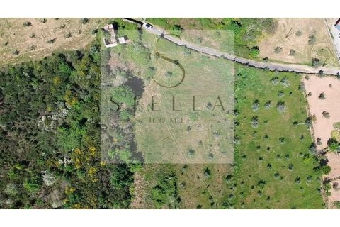 Villa i Sameice e Santa Eulalia, Guarda, Sameice e Santa Eulalia - € 40.000 | Ref: SH0063-20026 - foto 7