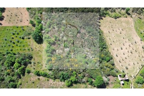 Villa i Sameice e Santa Eulalia, Guarda, Sameice e Santa Eulalia - € 40.000 | Ref: SH0063-20026 - foto 8