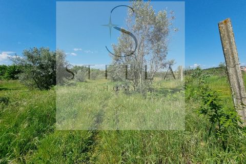 Villa i Sameice e Santa Eulalia, Guarda, Sameice e Santa Eulalia - € 40.000 | Ref: SH0063-20026 - foto 15