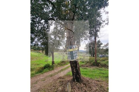 Terra a Mortagua, Viseu, Mortagua - € 35.000 | Ref: SH0060-2026 - foto 2