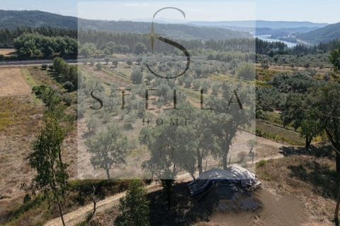 Terra a Mortagua, Viseu, Mortagua - € 35.000 | Ref: SH0060-2026 - foto 6