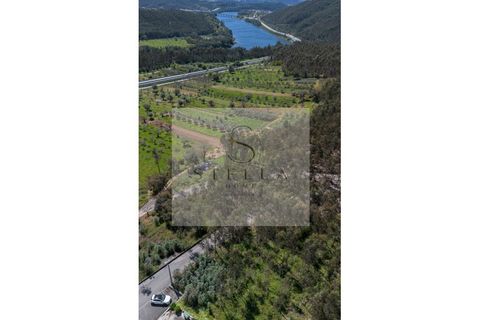 Terra a Mortagua, Viseu, Mortagua - € 35.000 | Ref: SH0060-2026 - foto 3