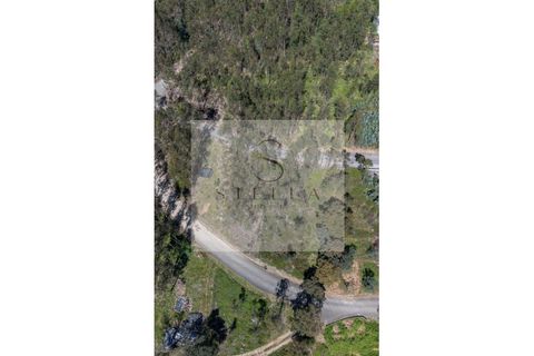 Terra a Mortagua, Viseu, Mortagua - € 35.000 | Ref: SH0060-2026 - foto 4