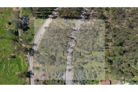 Terra a Mortagua, Viseu, Mortagua - € 35.000 | Ref: SH0060-2026 - foto 5