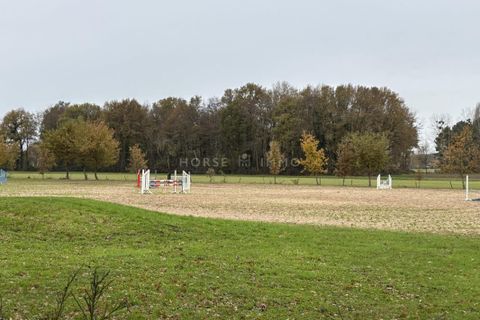 Landejendom i Saumur, Maine-et-Loire, Saumur - € 735.000 | Ref: A2763-ANG - foto 2