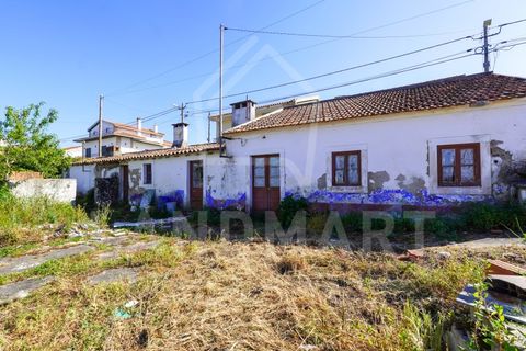 Villa a Maiorga, Leiria, Maiorga - € 130.000 | Ref: MO1642 - foto 2