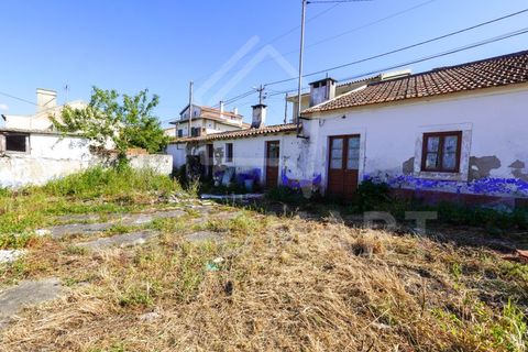 Villa a Maiorga, Leiria, Maiorga - € 130.000 | Ref: MO1642 - foto 4