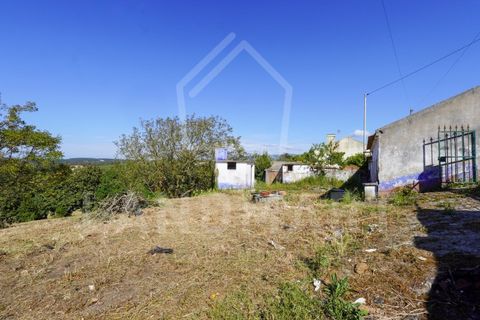 Villa a Maiorga, Leiria, Maiorga - € 130.000 | Ref: MO1642 - foto 6