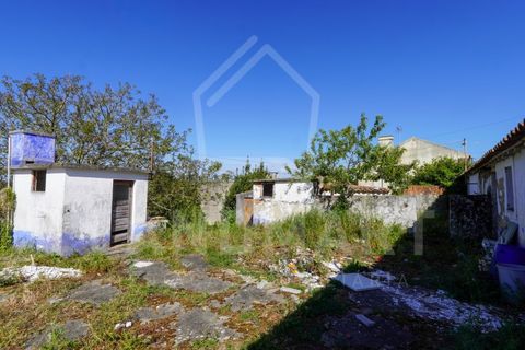 Villa a Maiorga, Leiria, Maiorga - € 130.000 | Ref: MO1642 - foto 15