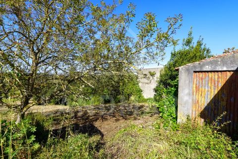 Villa a Maiorga, Leiria, Maiorga - € 130.000 | Ref: MO1642 - foto 18