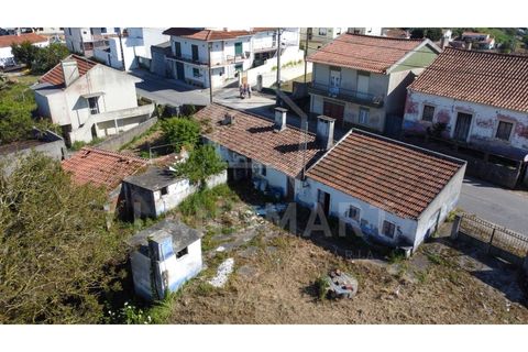Villa a Maiorga, Leiria, Maiorga - € 130.000 | Ref: MO1642 - foto 22