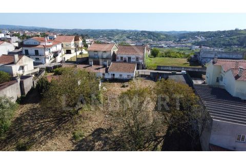 Villa a Maiorga, Leiria, Maiorga - € 130.000 | Ref: MO1642 - foto 23