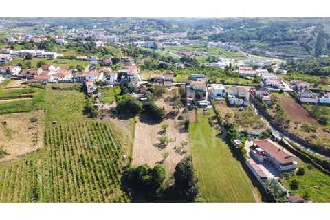 Villa a Maiorga, Leiria, Maiorga - € 130.000 | Ref: MO1642 - foto 25