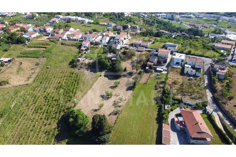 Villa a Maiorga, Leiria, Maiorga - € 130.000 | Ref: MO1642 - foto 26