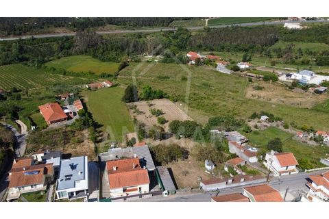 Villa a Maiorga, Leiria, Maiorga - € 130.000 | Ref: MO1642 - foto 28