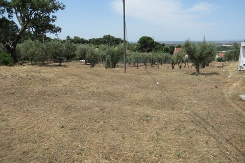 Villa i Chamusca, Santarem, Chamusca - € 195 000 | Ref: 2750 - foto 8