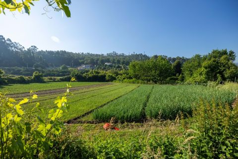 Farm hus i Penafiel, Porto, Penafiel - € 480.000 | Ref: MM249/26PEN/PS1 - foto 2