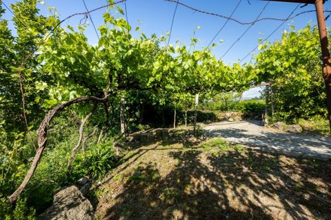 Farm hus i Penafiel, Porto, Penafiel - € 480.000 | Ref: MM249/26PEN/PS1 - foto 3