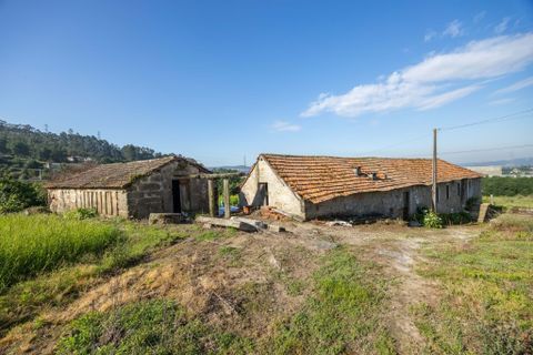 Farm hus i Penafiel, Porto, Penafiel - € 480.000 | Ref: MM249/26PEN/PS1 - foto 10