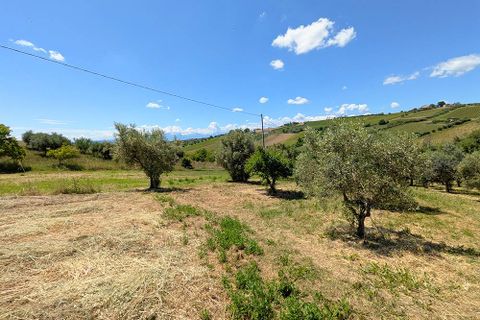 Villa i Controguerra, Teramo, Controguerra - € 490.000 | Ref: 028 - foto 16