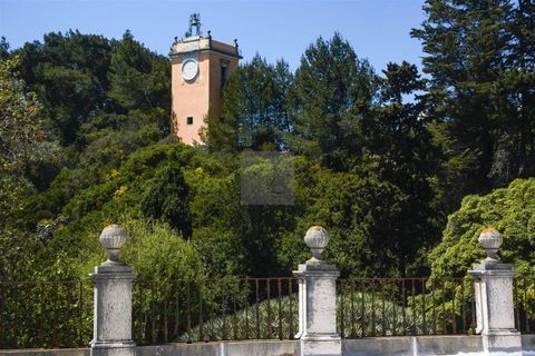 Villa i Oeiras, Lisbon, Oeiras - € 12.500.000 | Ref: 34241813 - foto 23