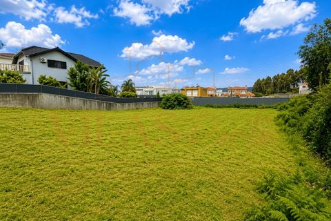 Helårsgrund i Paredes, Porto, Paredes - € 90.000 | Ref: TER_19 - foto 2