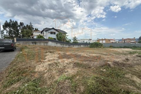Helårsgrund i Paredes, Porto, Paredes - € 90.000 | Ref: TER_19 - foto 9