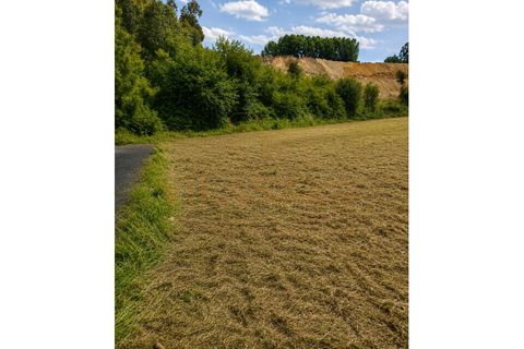 Helårsgrund i Paredes, Porto, Paredes - € 95.000 | Ref: TER_014 - foto 3