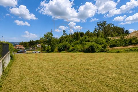 Helårsgrund i Paredes, Porto, Paredes - € 95.000 | Ref: TER_014 - foto 4