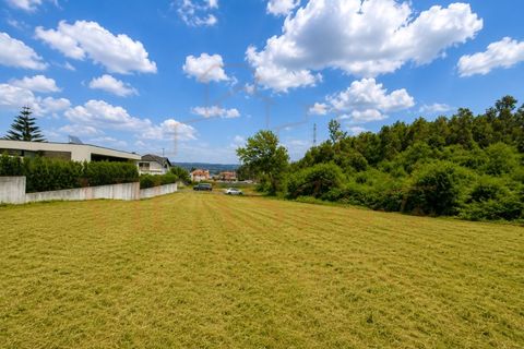 Helårsgrund i Paredes, Porto, Paredes - € 95.000 | Ref: TER_014 - foto 6