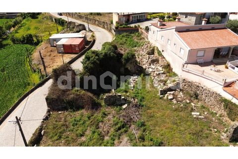 Terra a Cambeses, Braga, Cambeses - € 130.000 | Ref: 2127 - foto 4