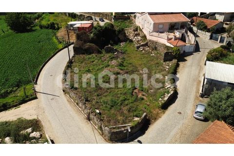 Terra a Cambeses, Braga, Cambeses - € 130.000 | Ref: 2127 - foto 5