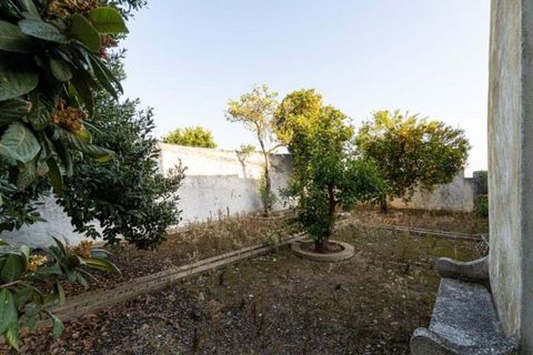 Villa em Santa Eulalia, Portalegre, Santa Eulalia - € 1.500.000 | Ref: 1120 - foto 36