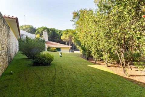 Villa i Benavente, Santarem, Benavente - € 2.800.000 | Ref: 1459 - foto 42