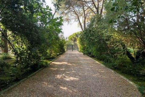 Villa i Benavente, Santarem, Benavente - € 2.800.000 | Ref: 1459 - foto 46