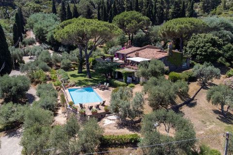 Villa a Monte Argentario, Grosseto, Monte Argentario - € 5.000.000 | Ref: 176 - foto 3