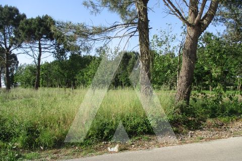 Helårsgrund i Oliveira do Bairro, Aveiro, Oliveira do Bairro - € 40.000 | Ref: 1051417/26 OB - foto 2