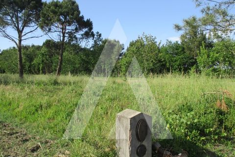 Helårsgrund i Oliveira do Bairro, Aveiro, Oliveira do Bairro - € 40.000 | Ref: 1051417/26 OB - foto 3