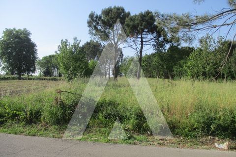Helårsgrund i Oliveira do Bairro, Aveiro, Oliveira do Bairro - € 40.000 | Ref: 1051417/26 OB - foto 4