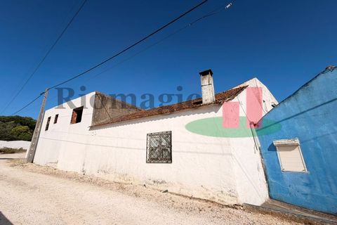 Villa i Rio Maior, Santarem, Rio Maior - € 240.000 | Ref: 183.26 - foto 31