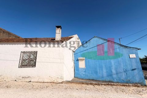 Villa i Rio Maior, Santarem, Rio Maior - € 240.000 | Ref: 183.26 - foto 33