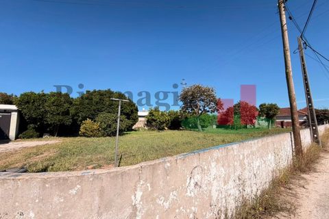 Villa i Rio Maior, Santarem, Rio Maior - € 240.000 | Ref: 183.26 - foto 35