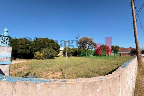 Villa i Rio Maior, Santarem, Rio Maior - € 240.000 | Ref: 183.26 - foto 36